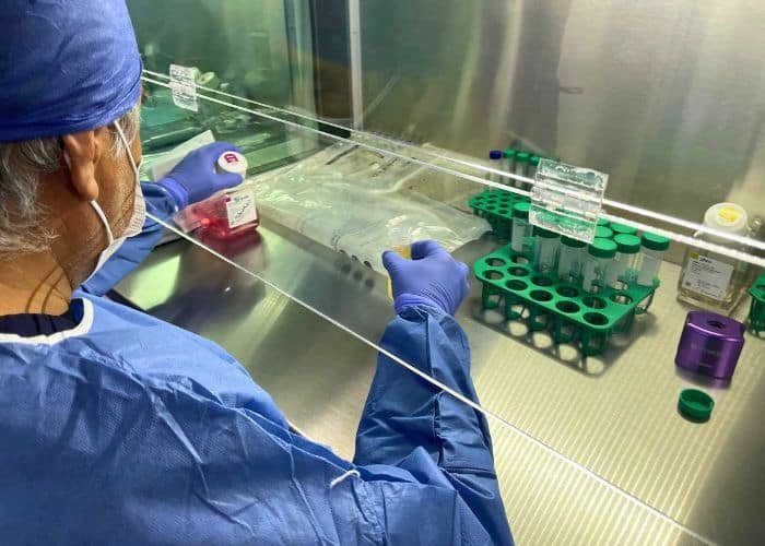 Técnico de laboratorio trabajando con cultivos de células NK dentro de una campana de bioseguridad.