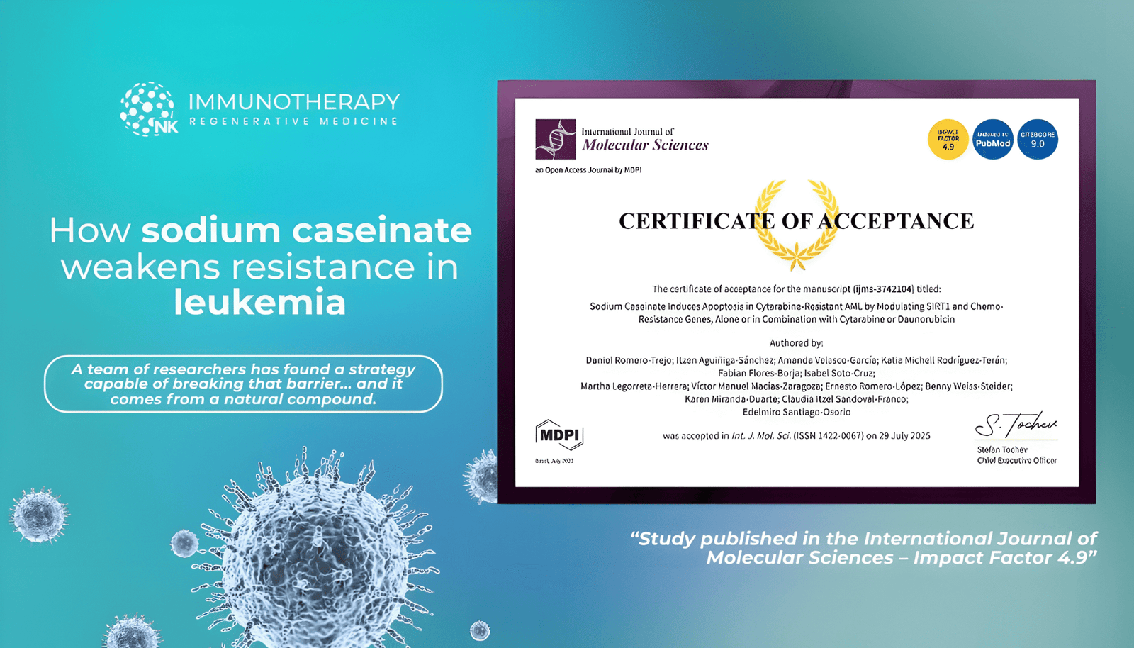 Sodium Caseinate An Innovative Strategy Against Chemotherapy Resistance in Acute Myeloid Leukemia
